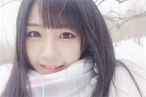 爱上海同城交友：上海教育机构的治理结构